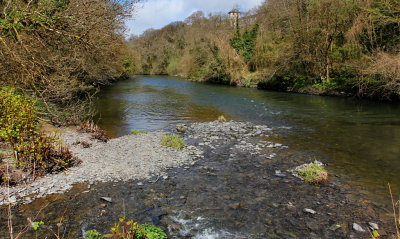 River Teifi Cilgerran Pembrokeshire, West Wales.