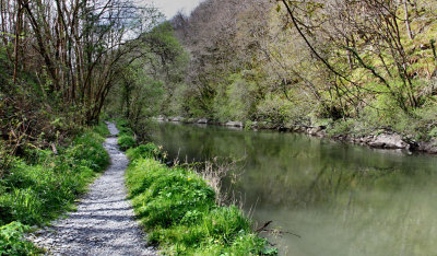 River Teifi Cilgerran Pembrokeshire, West Wales.