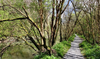 River Teifi Cilgerran Pembrokeshire, West Wales.