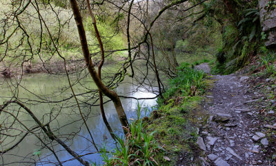 River Teifi Cilgerran Pembrokeshire, West Wales.