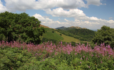 A view of the Malvern Hills, Worcestershire.