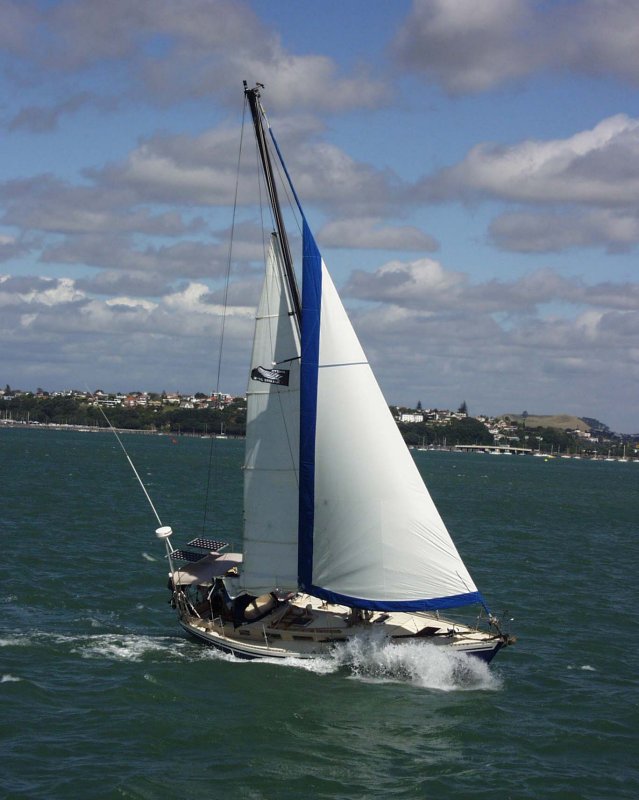 Yacht 3