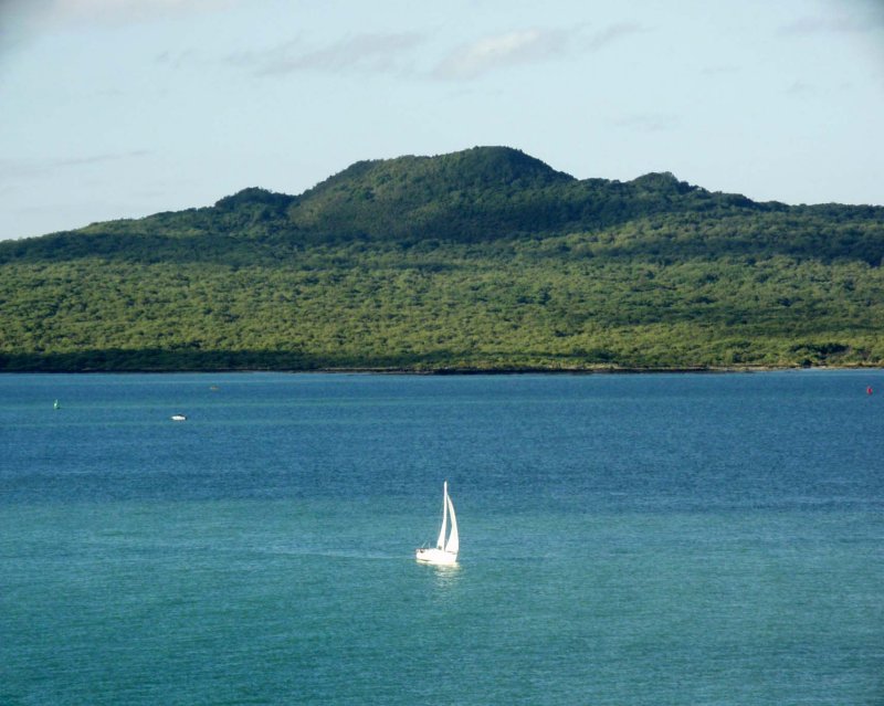 Rangitoto