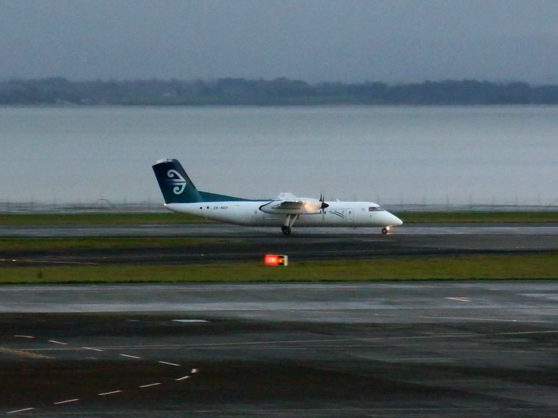 Air New Zealand 3