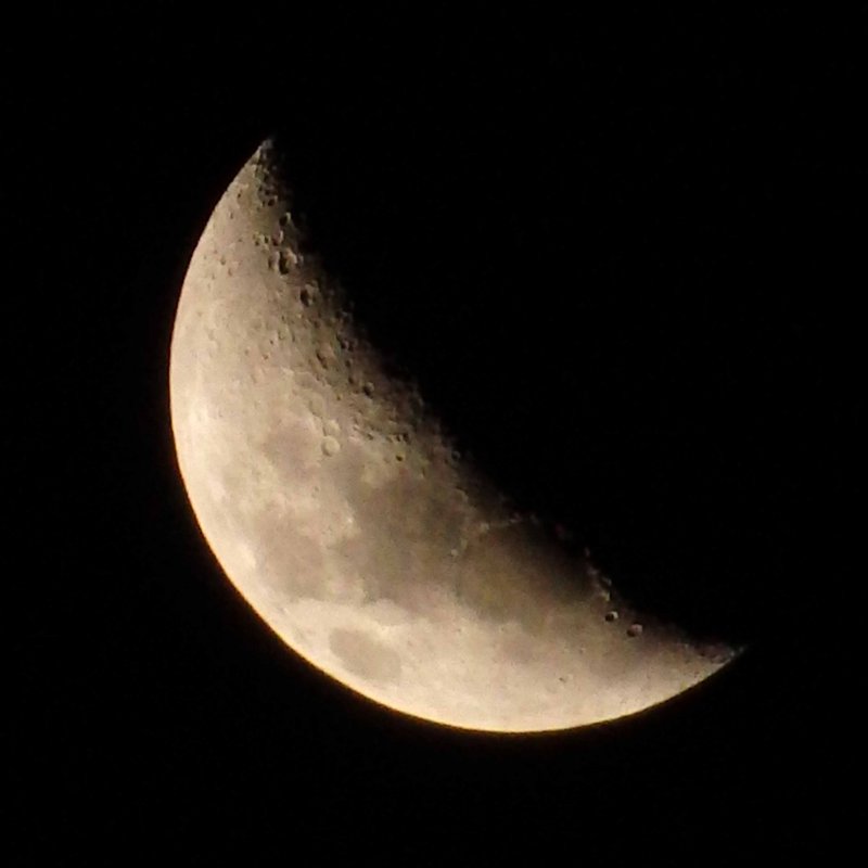 Moon SH-50_1