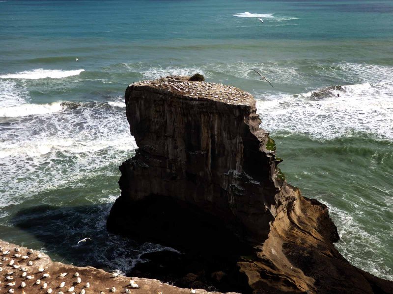 Motutara Island