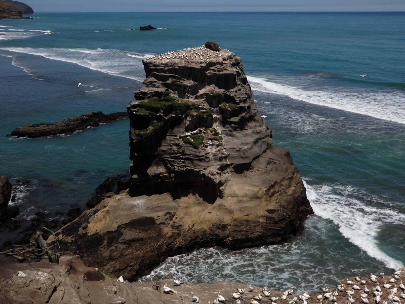 Motutara Island 6