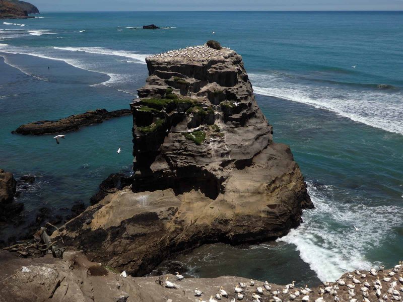 Motutara Island 7