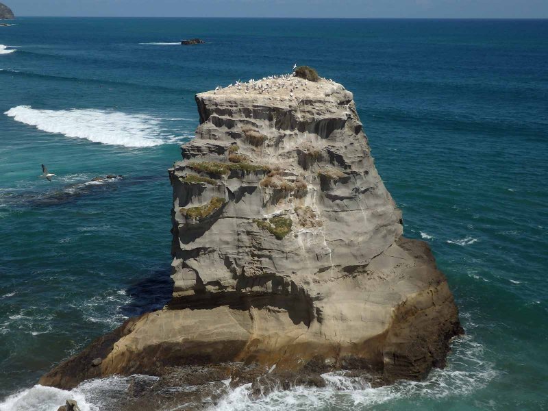 Motutara Rock Island 1