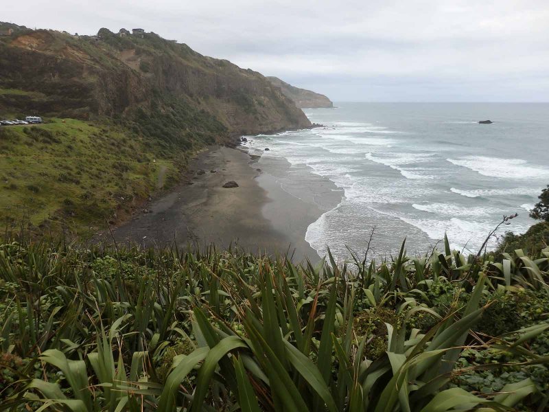 Southern Muriwai Beach