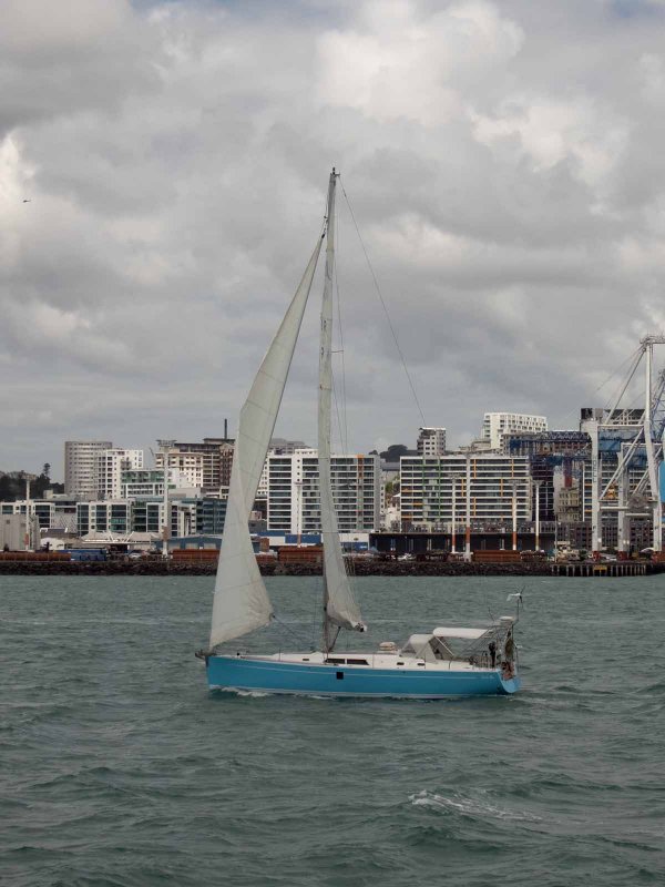 Yacht 3