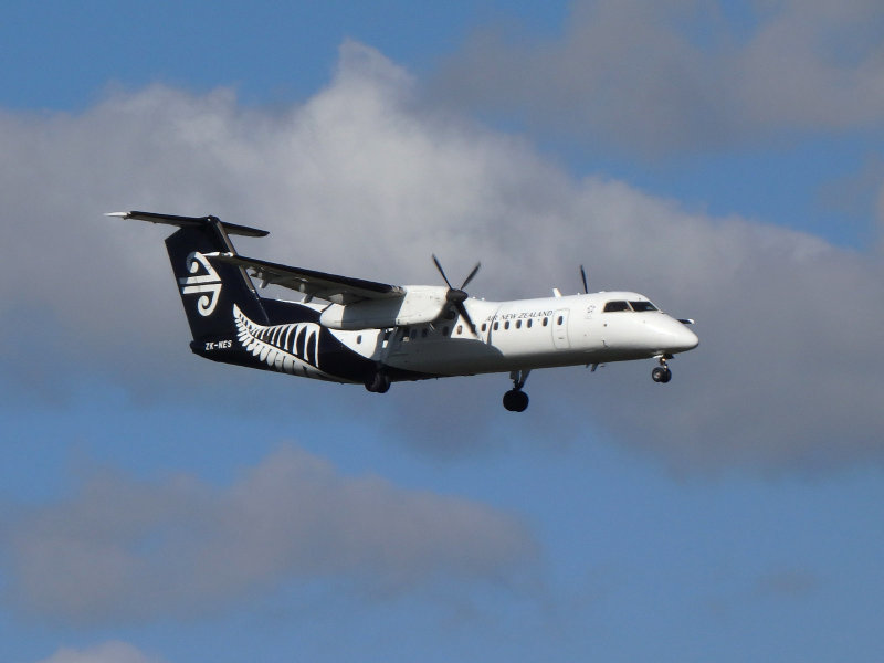 Air New Zealand 36