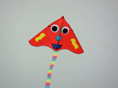 Kite