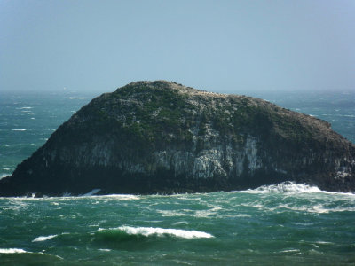 Unnamed Island