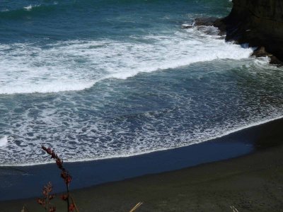 Muriwai Beach 1
