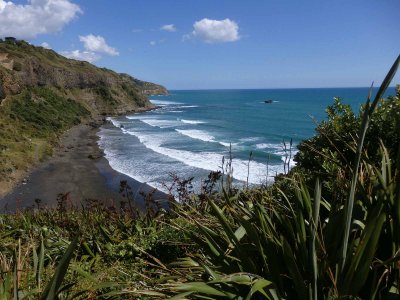 Muriwai Beach 2