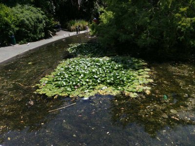 Queens Gardens 8