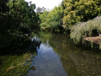 Queens Gardens 9