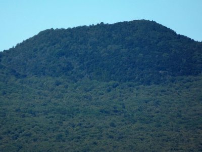 Rangitoto Peak