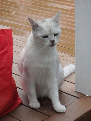 Lucky 2