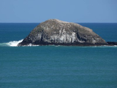 Oaia Island