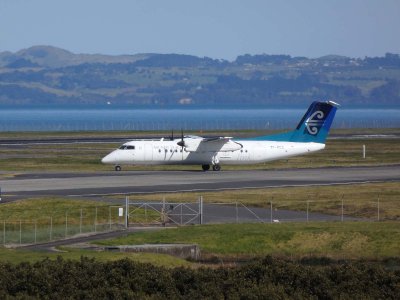 Air New Zealand Link 1