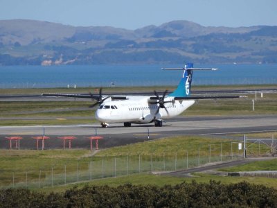Air New Zealand Link 4