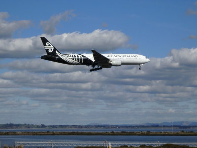 Air New Zealand 31