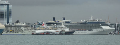 Three Cruise Ships