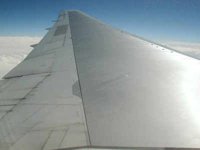 Wing