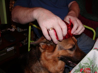 Christmas_2002_37.JPG