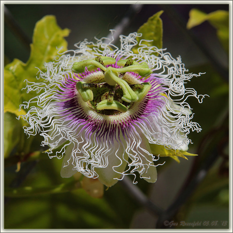 This One Makes Me Think Of Eye-Drops ;-)