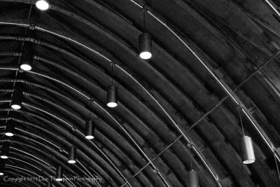 CRW_7006.jpg