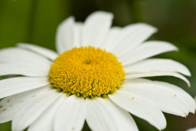 _MG_9106.jpg
