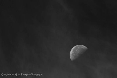 IMG_4415.jpg