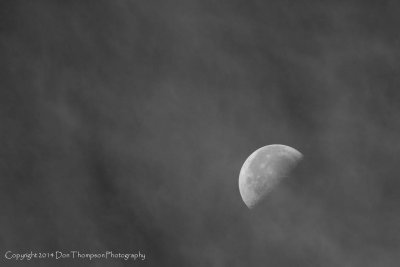 IMG_4416.jpg