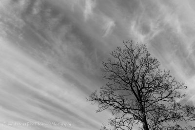 _MG_6862.jpg