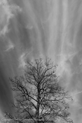 _MG_6861.jpg