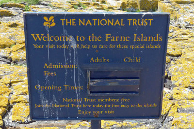 Welcome to the Farne Islands.  Landing is only possible on 2 of the islands.  