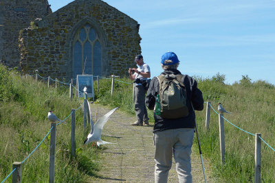 Lory walking towards the tiny chapel