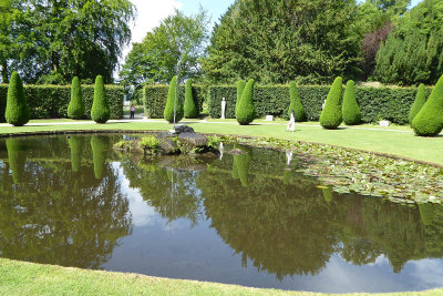 Pond reflections.jpg