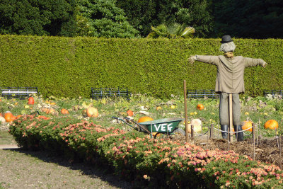 520 Vegetable garden.jpg