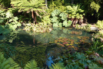 270 Jungle Garden