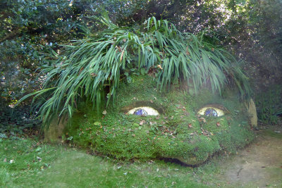 539 Mud sculpture - 'Giants Head'