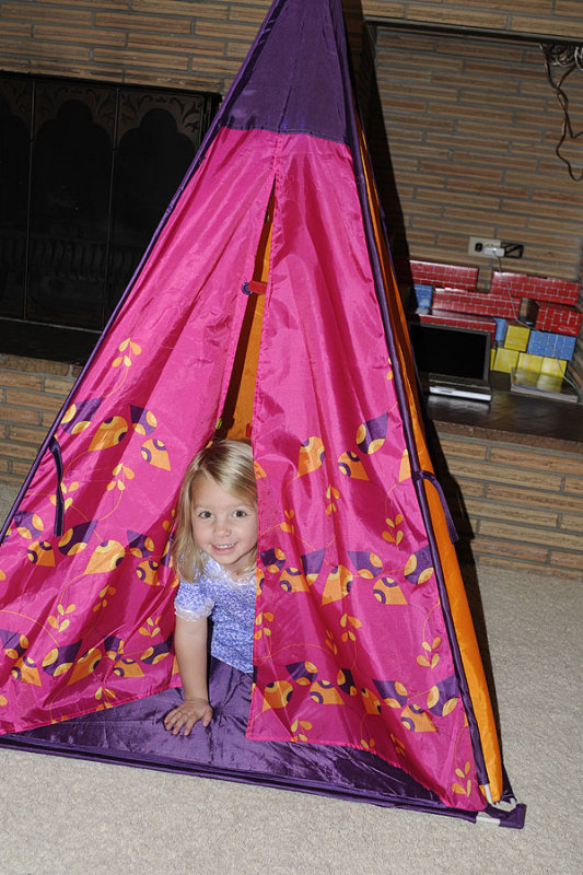 There are so many things you can do with a tall tent.