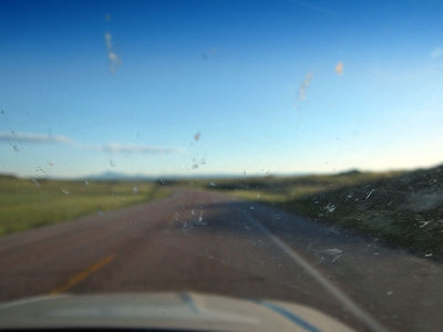 How am I supposed to see with all these bugs on the windshield?