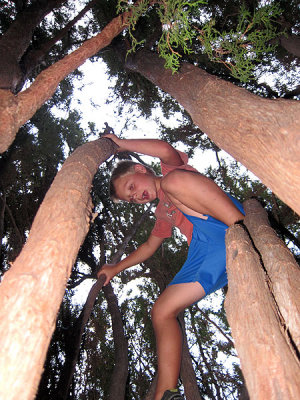 Simon climbs a tree