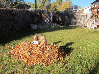 Hey, who raked the leaves?