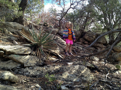 Little explorer