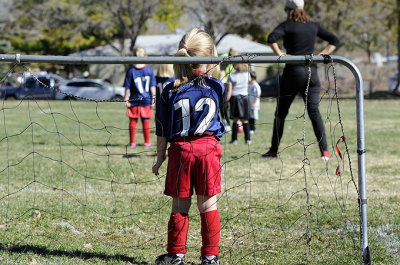 Protecting the USA goal